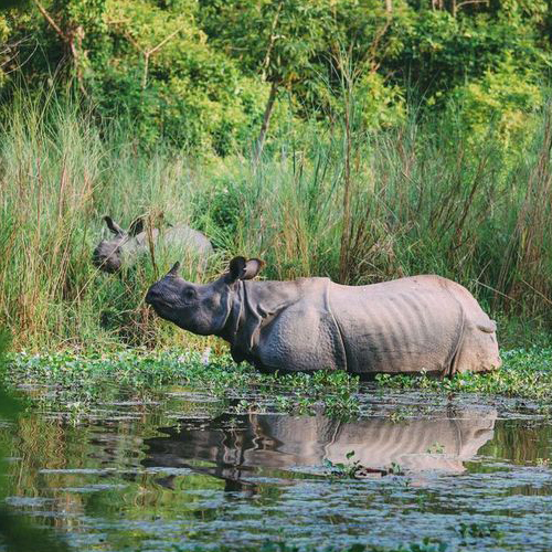 Nepal Holiday Package From Gorakhpur